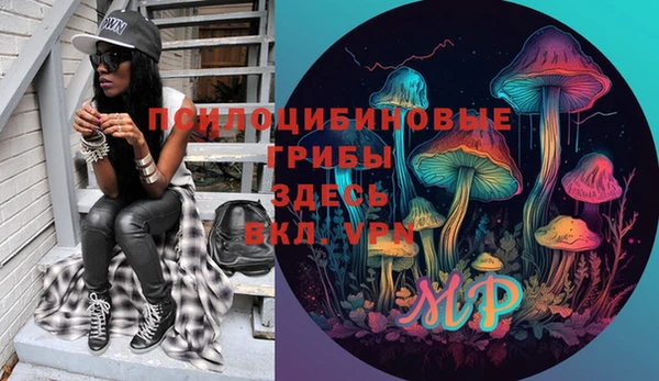стаф Вяземский