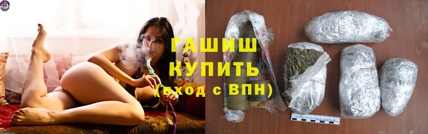 стаф Вяземский