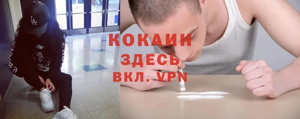 стаф Вяземский