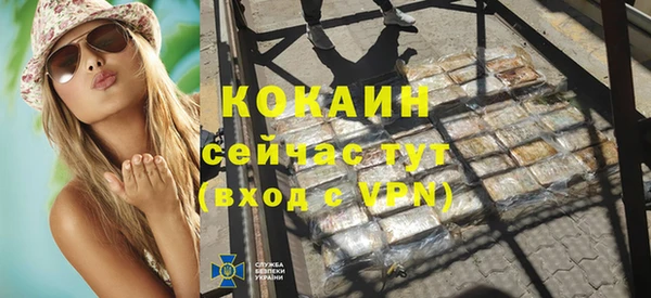 стаф Вяземский