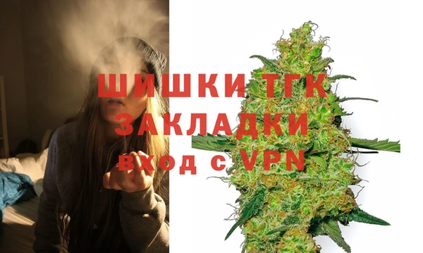 стаф Вяземский