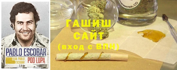 стаф Вяземский